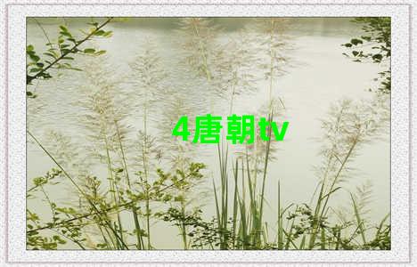 4唐朝tv