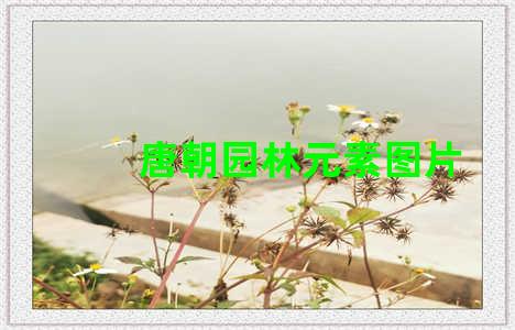 唐朝园林元素图片